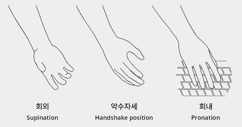 supination_pronation.png