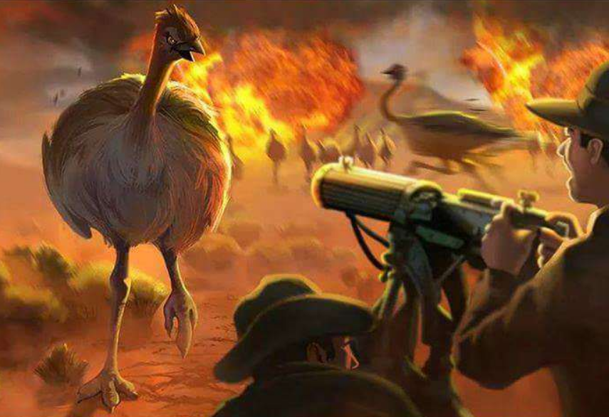 에뮤전쟁의 에뮤가 얼마나 쩌는 동물이냐면_1.png