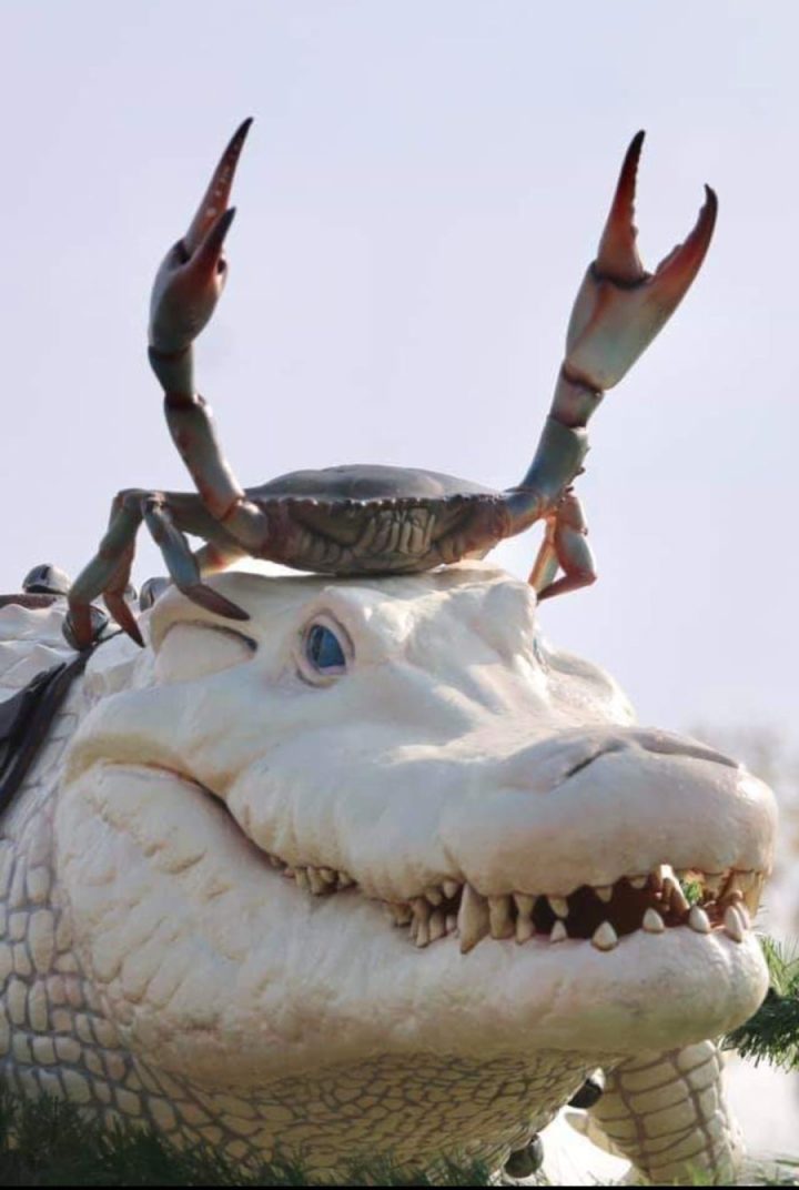 보는 사람의 관점에 따라 달라짐_1.jpg