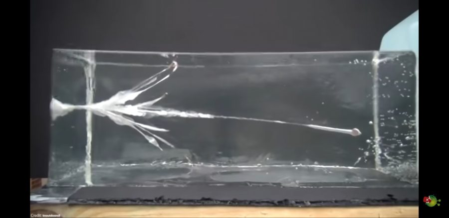 살살쏘는 총알_1.jpg