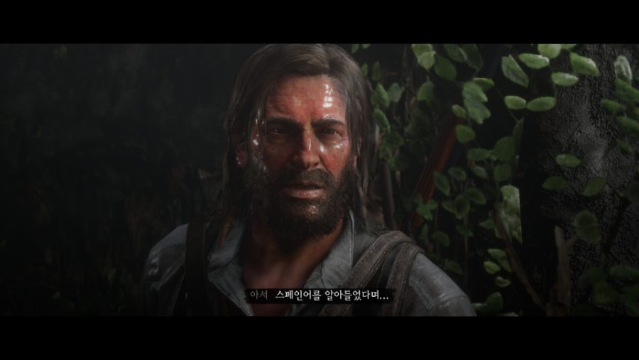 Red Dead Redemption 2_20190206181827.png