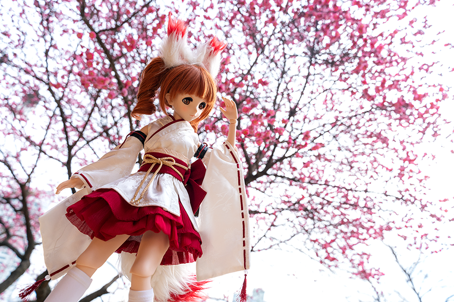 봉은사 매화꽃_4.png