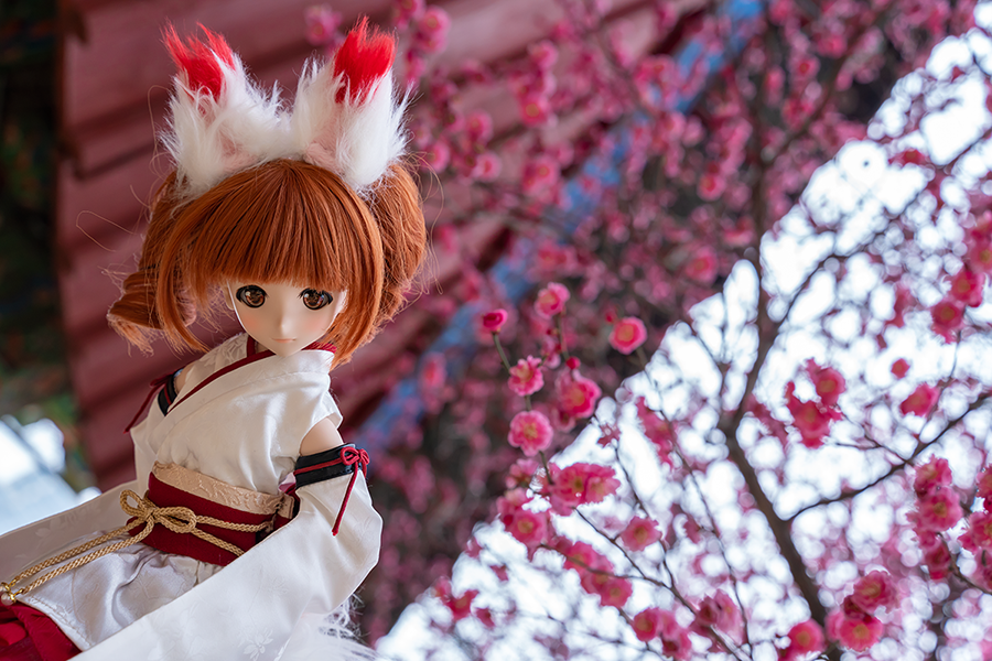 봉은사 매화꽃_6.png