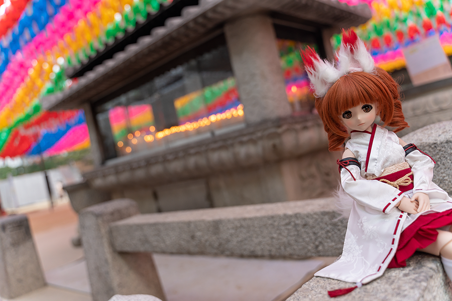 봉은사 매화꽃_11.png