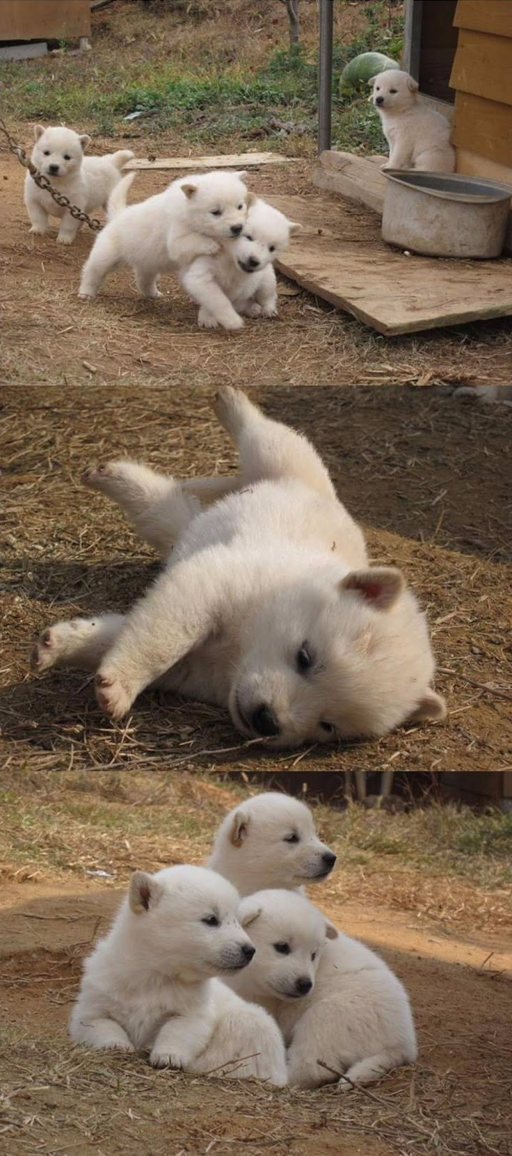 버닝썬 클럽 현장 모습_2.jpg