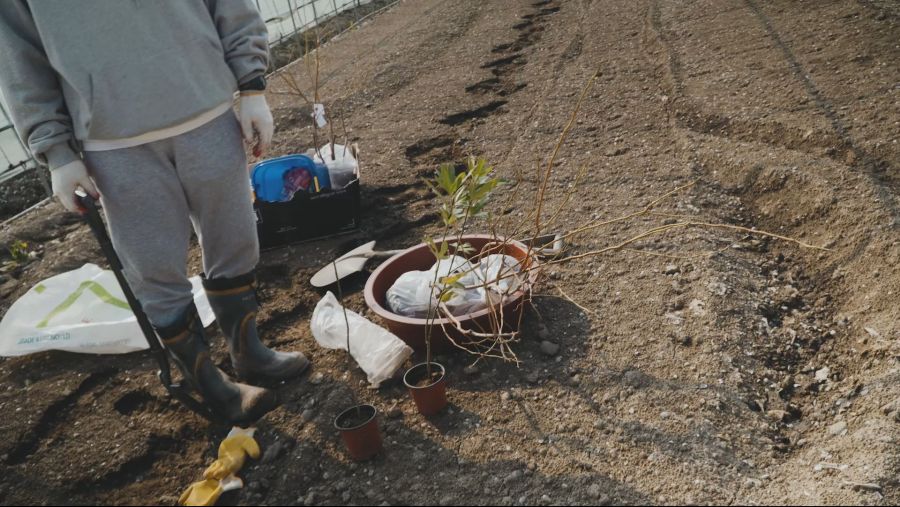 이거 두가족이서 시작한 과일나무 심기가....보통일이 아니네요_2.jpg