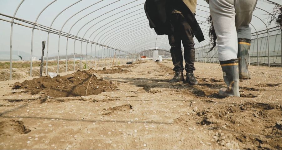 이거 두가족이서 시작한 과일나무 심기가....보통일이 아니네요_3.jpg