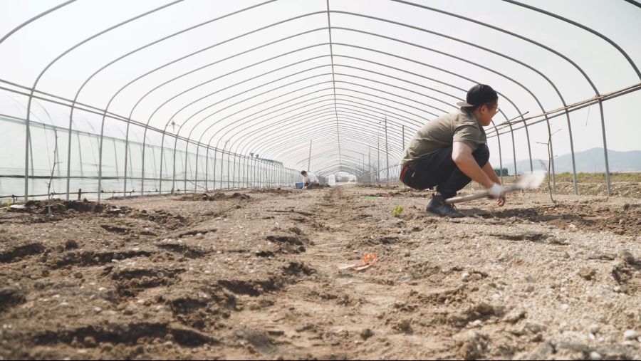 이거 두가족이서 시작한 과일나무 심기가....보통일이 아니네요_4.jpg