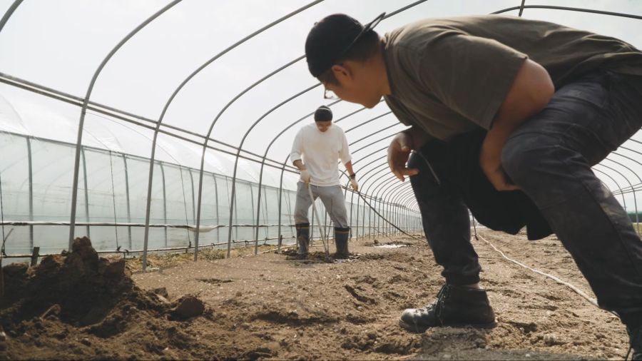 이거 두가족이서 시작한 과일나무 심기가....보통일이 아니네요_6.jpg