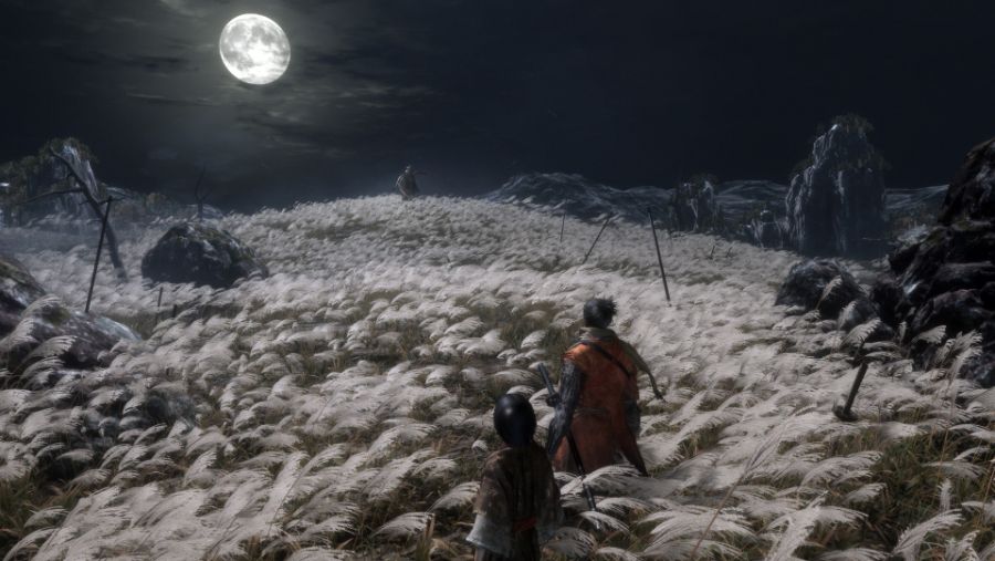 sekiro-shadows-die-twice-y1733.jpg