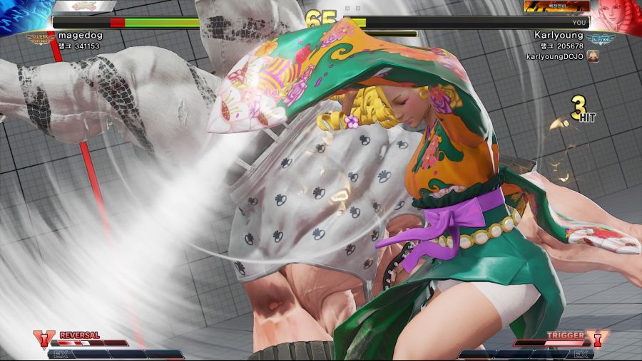 STREET FIGHTER V_20190304000249.jpg