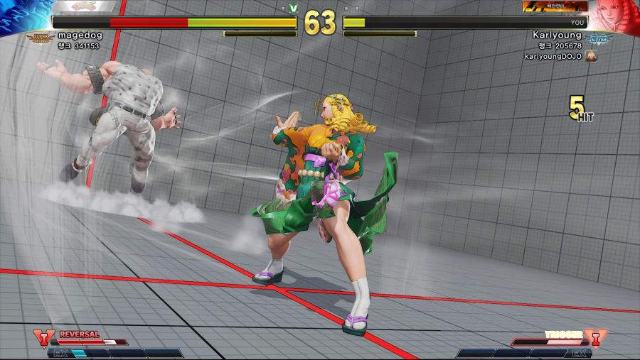 STREET FIGHTER V_20190304000251.jpg