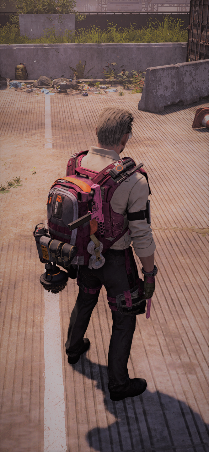 Tom Clancy's The Division 2_20190325_135530.png