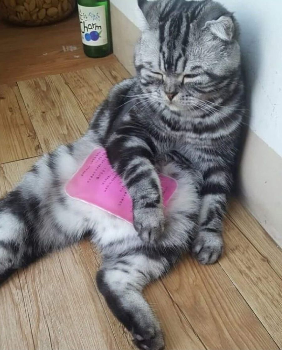 집 가고싶당..._1.jpg