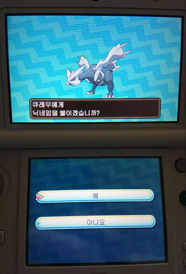 색이 다른 큐레무_3.jpg