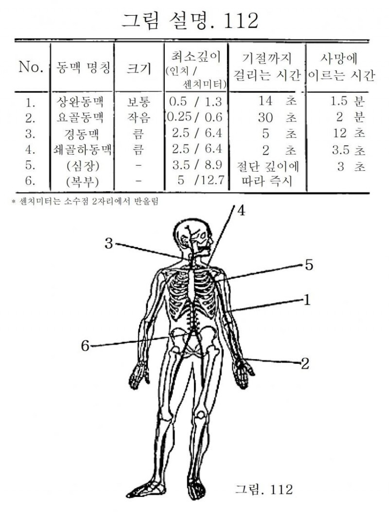 신체 부위별 동맥 절단시 기절 및 사망까지 걸리는 시간_1.jpg