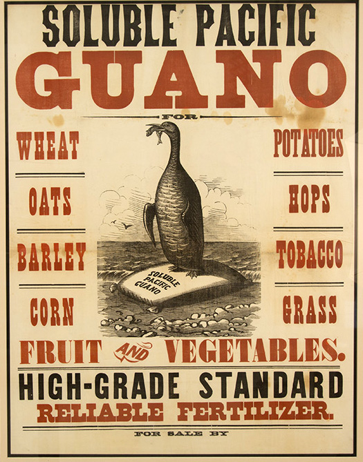 guano-islands-ad.jpg