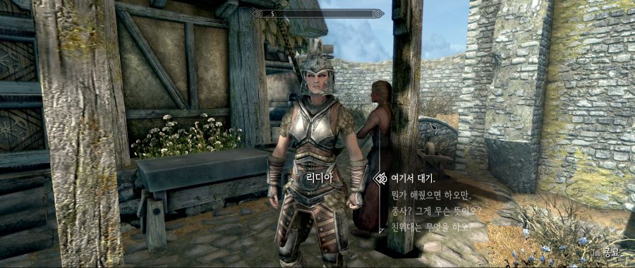 스카이림 바닐라 해상도 버그 질문좀할게요_1.png