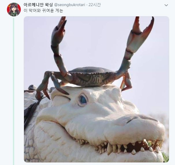 알비노 악어 위에서 만세하는 게.jpg_1.jpg