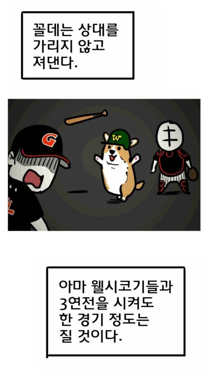 웰시코기데이의 비밀_2.jpg