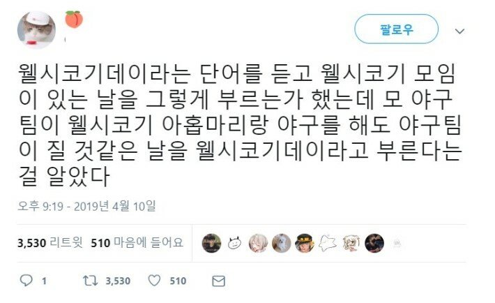 웰시코기데이의 비밀_1.jpg
