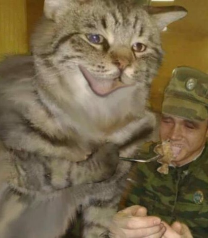 유게에도 이제 페미화법 유행하는거임?_1.jpeg