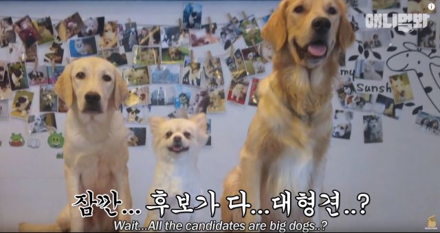 bandicam 2019-04-26 12-45-55-675.jpg