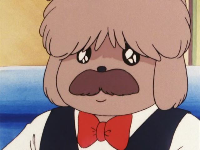 [신 메이플 타운 이야기 팜 타운편]한국판 성우 가상캐스팅_44.jpg