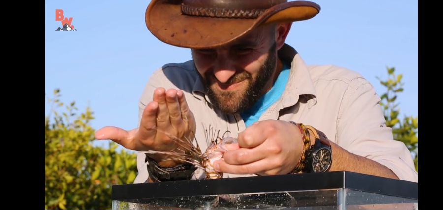 (극혐) 안 흔한 유튜버의 컨텐츠_8.jpg