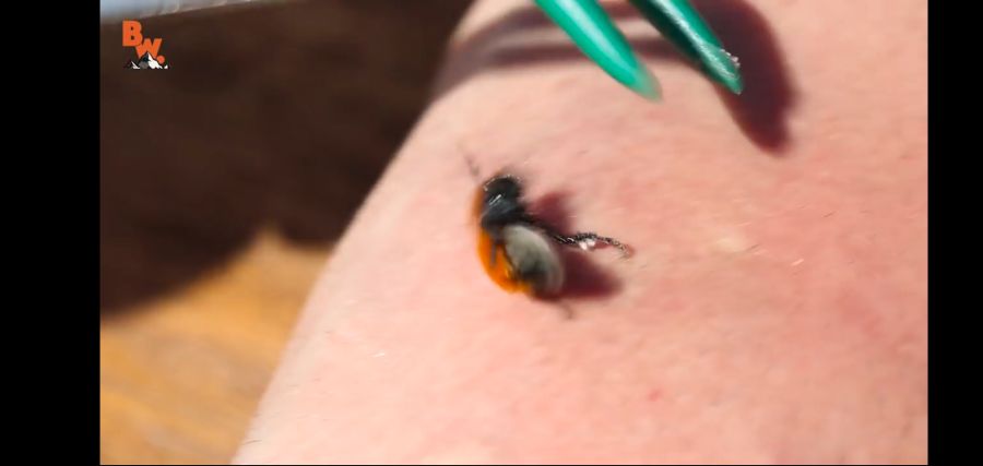 (극혐) 안 흔한 유튜버의 컨텐츠_13.jpg