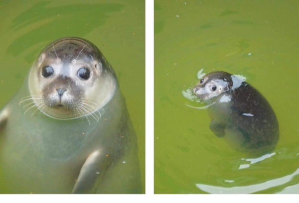 이 짤 언제 쓰는 거야?_1.jpg