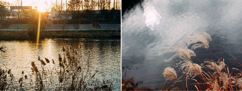 로드를 싫어하는 사람의 시즌 준비기_3.jpg