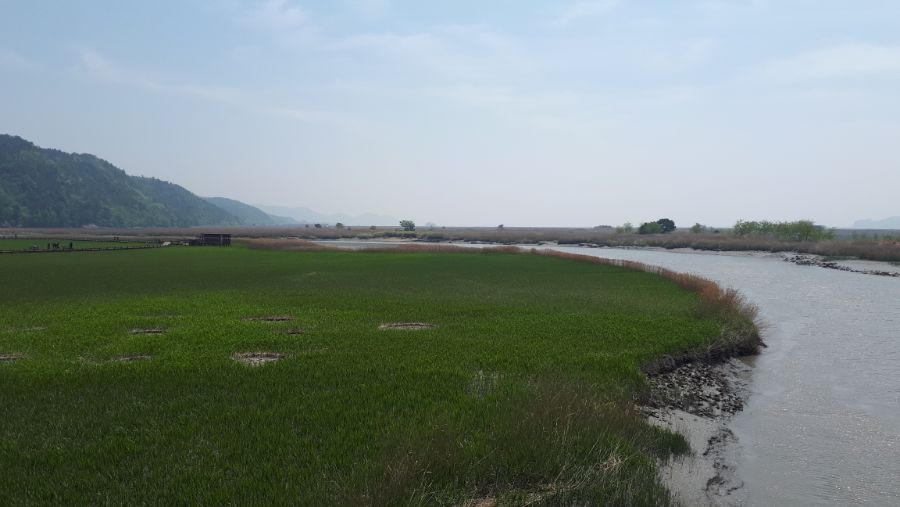 여수, 순천, 담양 3박4일 여행_38.jpg