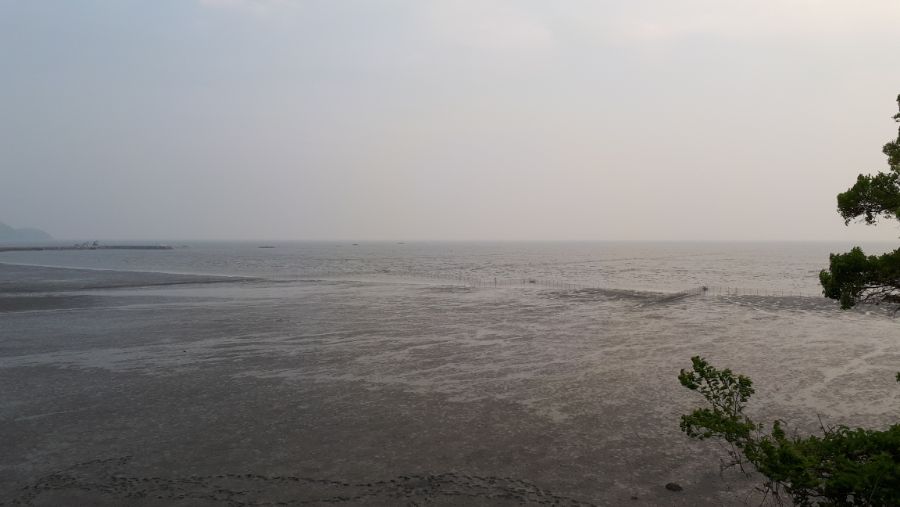 여수, 순천, 담양 3박4일 여행_50.jpg