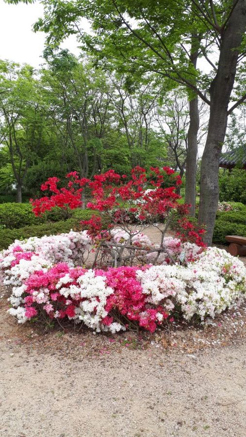 여수, 순천, 담양 3박4일 여행_60.jpg