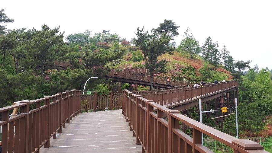 여수, 순천, 담양 3박4일 여행_77.jpg