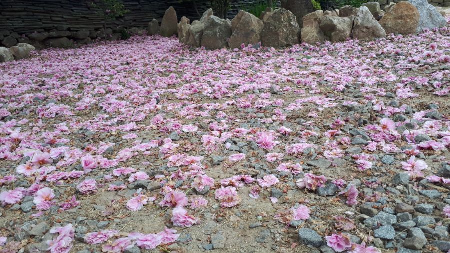 여수, 순천, 담양 3박4일 여행_94.jpg