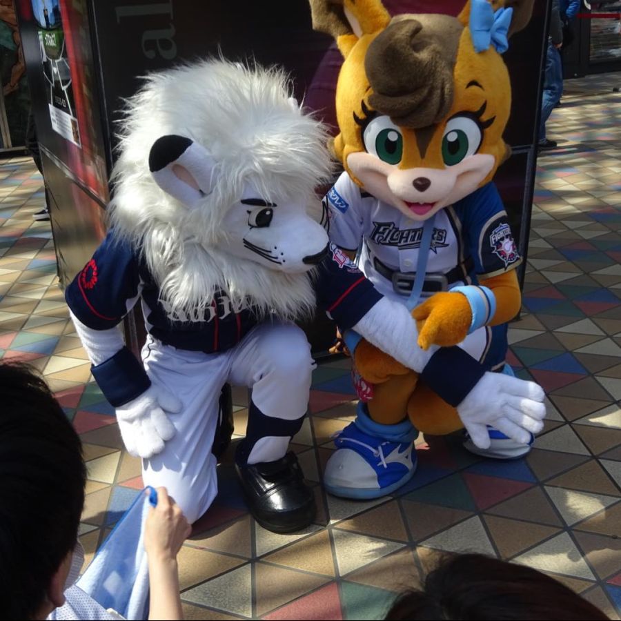 인형탈 알바녀 팬티 노출ㄷㄷㄷㄷㄷㄷㄷ....jpgif_2.jpg