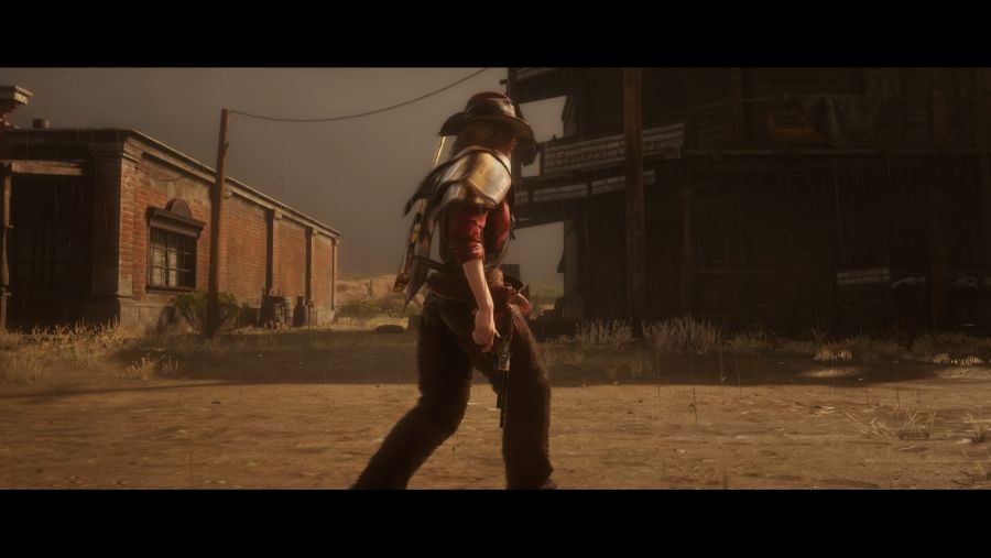 Red Dead Redemption 2_20190531213135.jpg