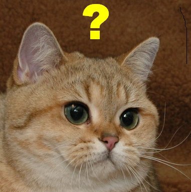 스타크래프트 근황_5.jpg