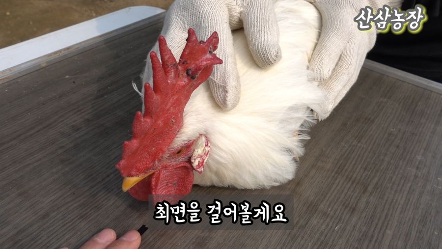 6최면7.jpg