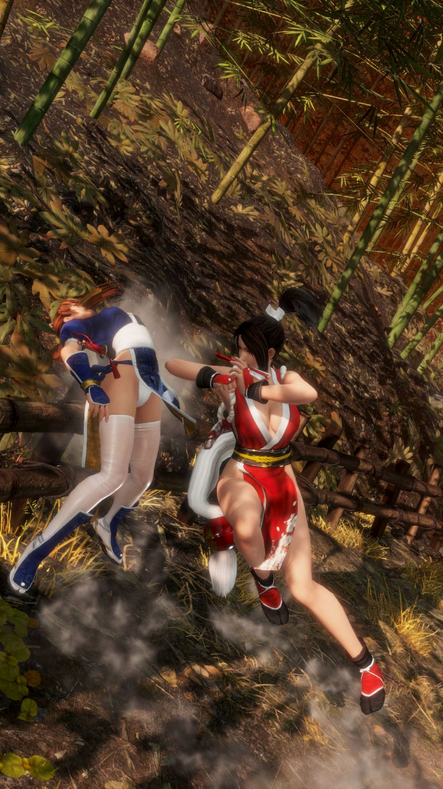 DEAD OR ALIVE 6_20190618141734.png