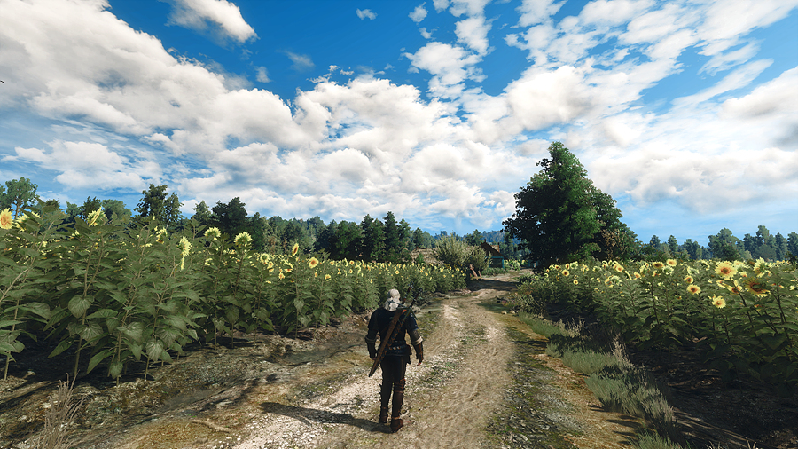 witcher3_2019_06_29_03_33_10_456.jpg