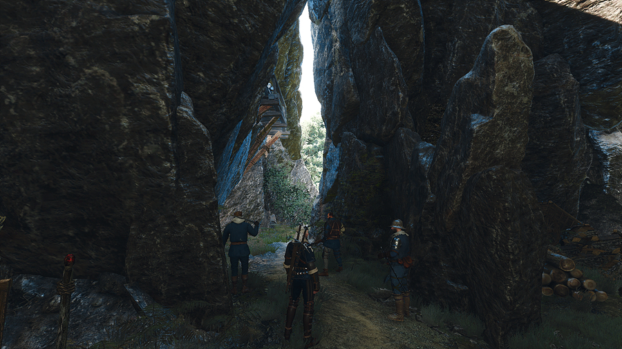 witcher3_2019_06_29_03_42_25_432.jpg