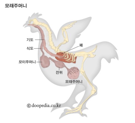 다운로드 (5).jpg