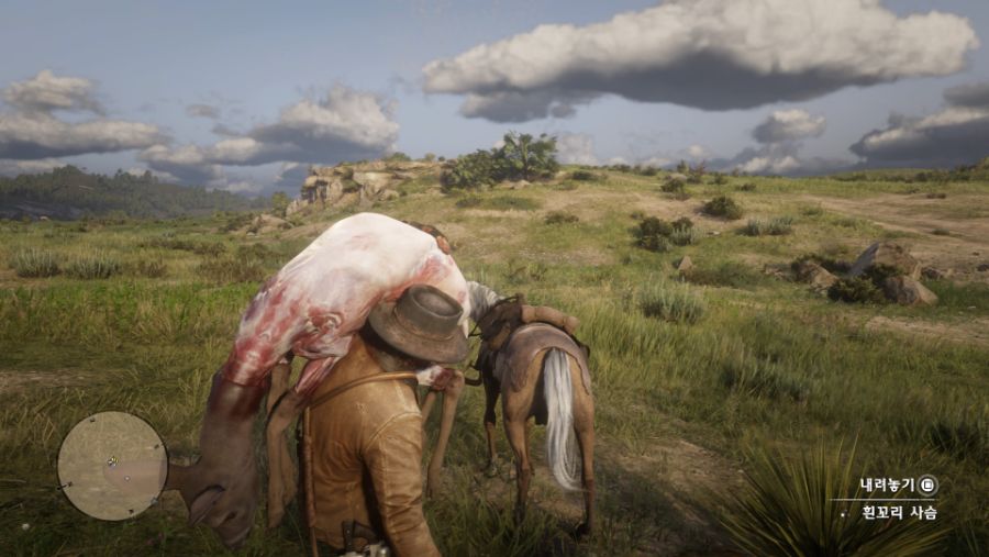 Red Dead Redemption 2_20190721185626.jpg