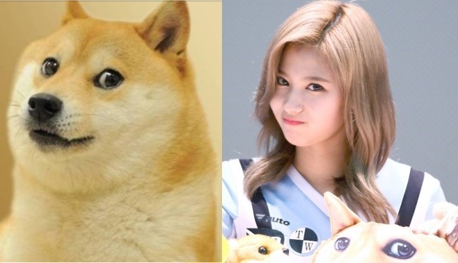 사나가 이쁜건 인정함._1.jpg