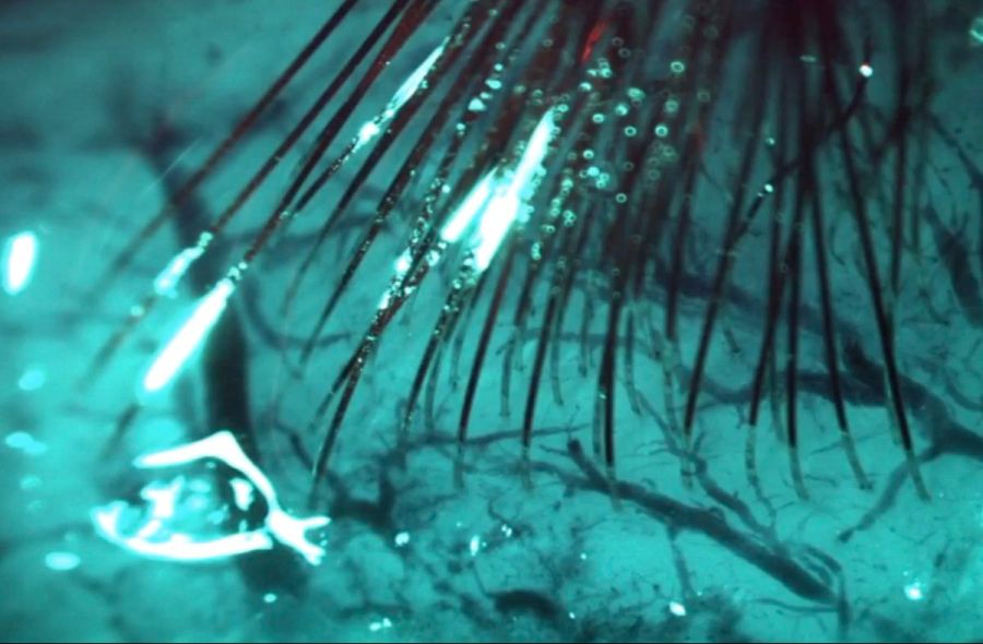 결국 만들어버린 엘론 머스크_4.jpg