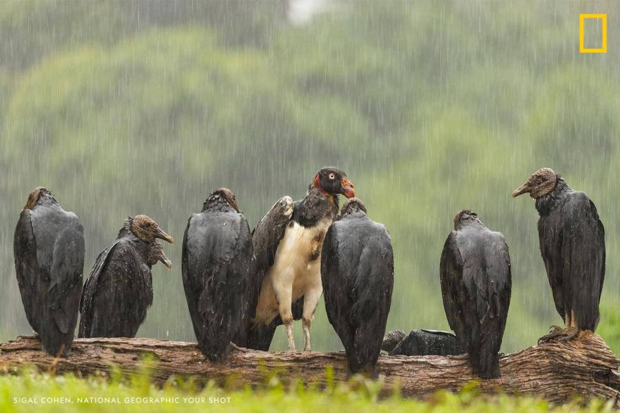 중대장은 너희들에게 실망했다_1.jpeg