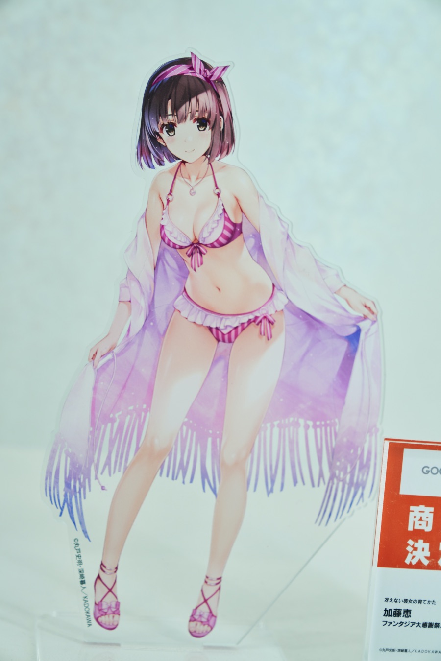 2019 여름 원더 페스티벌 下 (초스압)_97.jpg